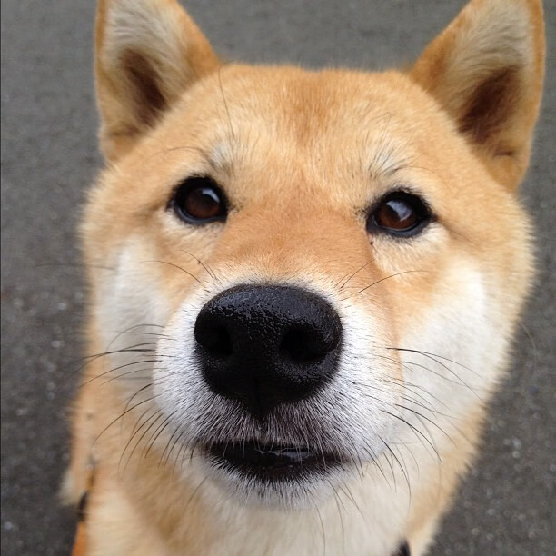 NBA赛季抢断效率排行榜,nba抢断排行榜最新排名